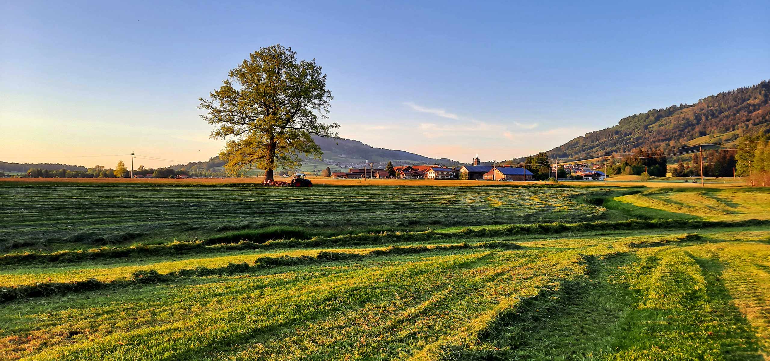 Urlaub machen auf dem Bauernhof und Ferienhof Birkenhof in Burgberg im Allgäu - Gästezimmer
